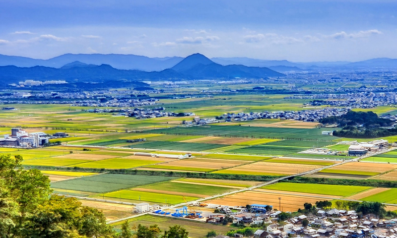 市街化調整区域で土地活用