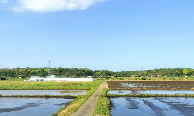 田畑を相続したら確認したいこと