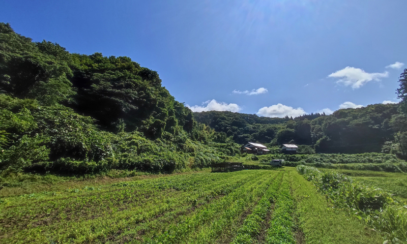 相続した田畑を手放す方法