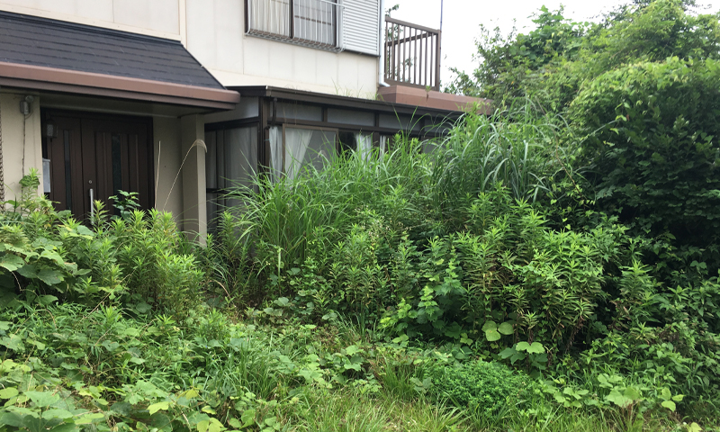 土地を放置するとどうなる