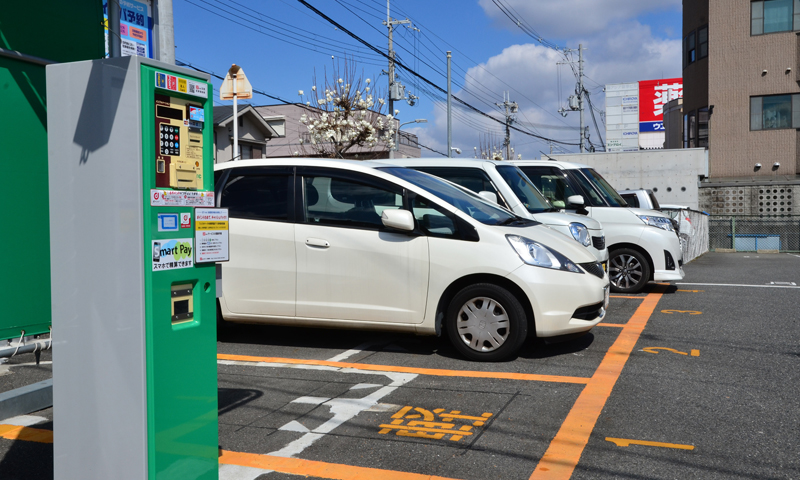 土地を放置するとどうなる